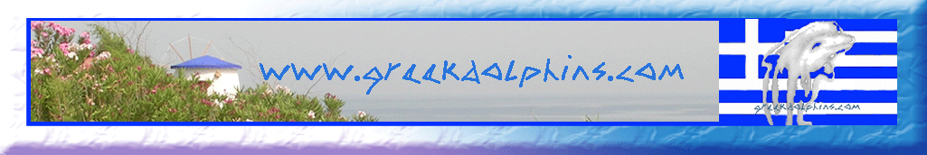Banner groß
