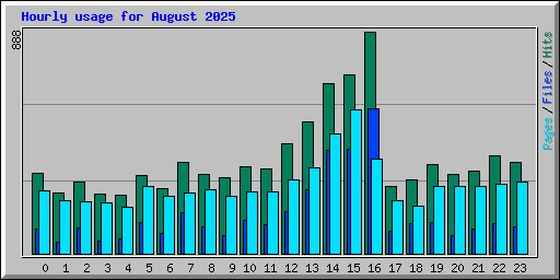 Hourly usage for August 2025