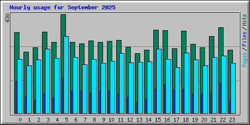 Hourly usage for September 2025
