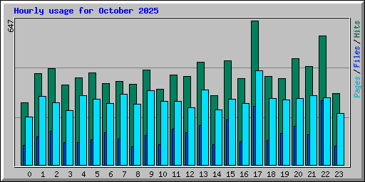 Hourly usage for October 2025