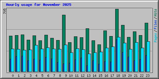Hourly usage for November 2025