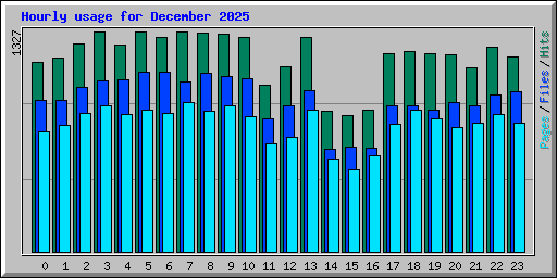 Hourly usage for December 2025