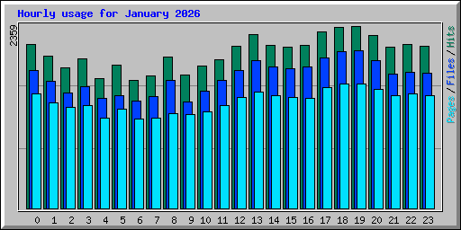 Hourly usage for January 2026