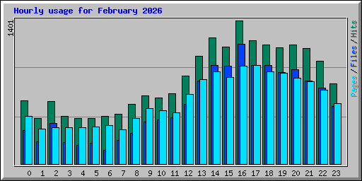 Hourly usage for February 2026